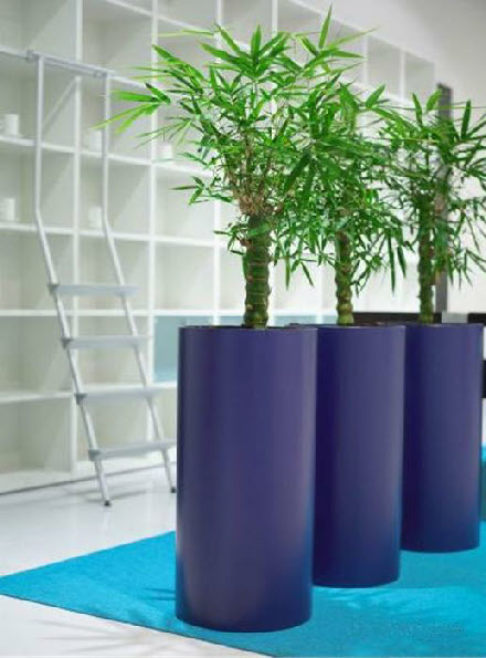 Tall round plant container